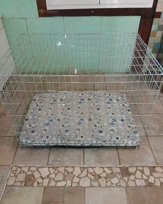 kennel per cani 