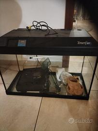 acquario 67 