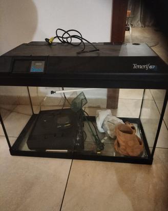 acquario 67 