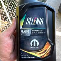 Selenia wr forward 0w30