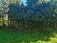 Immagine 10