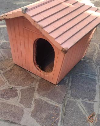 cuccia per cane 