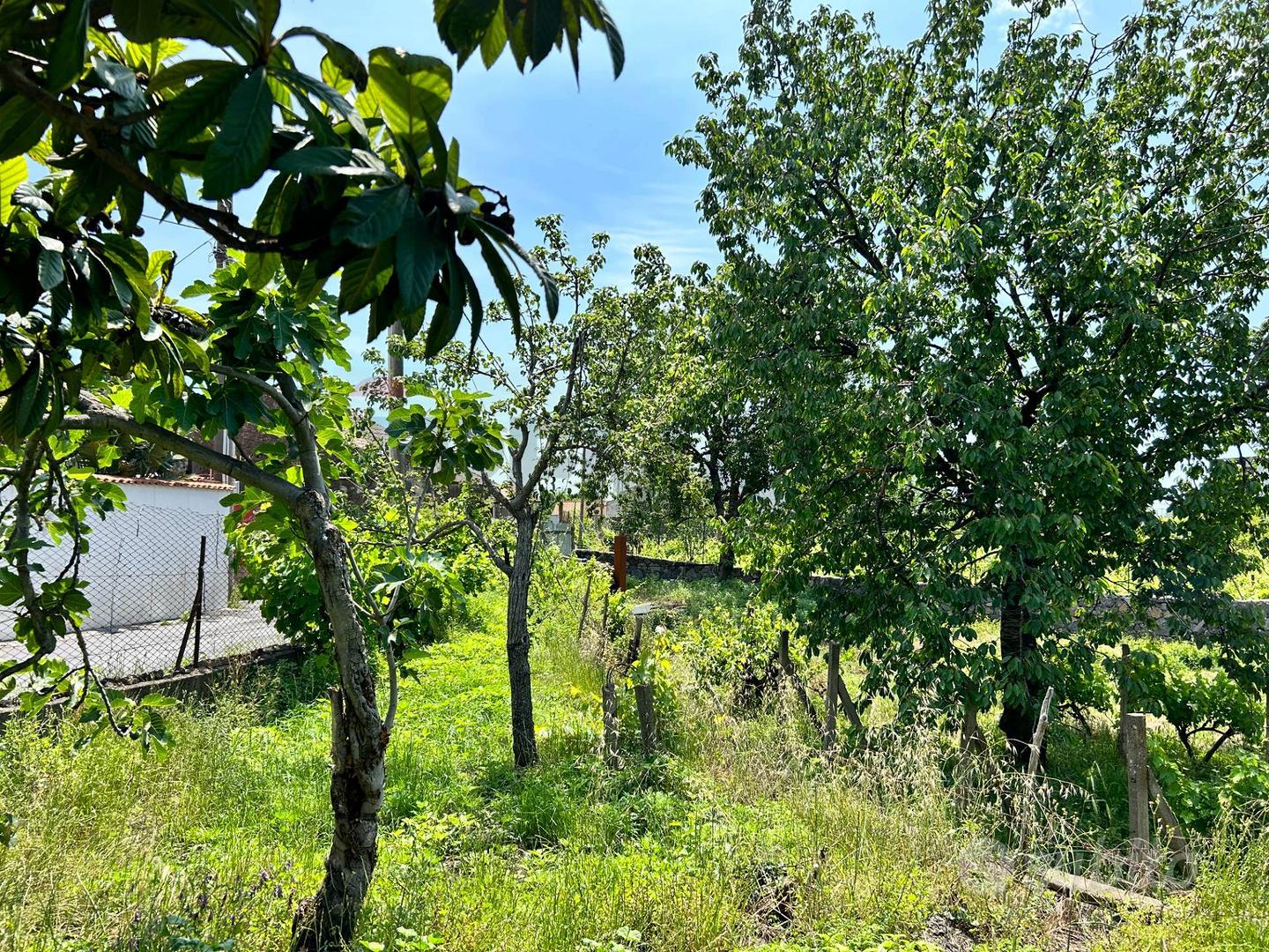 Terreno - Aci Sant'Antonio - Vista 3