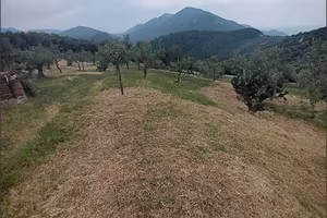Terreno Agricolo a Norma