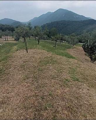 Terreno Agricolo a Norma