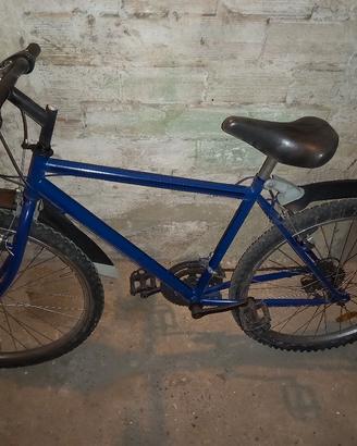 Mountain-bike 