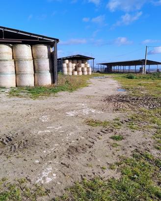 Fieno immagazzinato erbaio autunno vernini