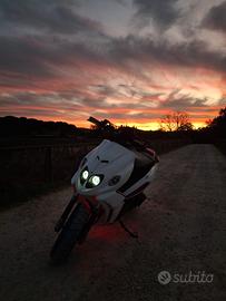 Malaguti Phantom F12-R 50 - 2014