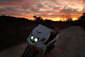 Malaguti Phantom F12-R 50 - 2014