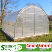 Serra tunnel 6x4 arco traliccio policarbonato box