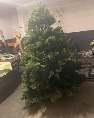 Albero di natale