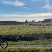 MTB per Bambini/e dai 120 ai 155 cm d'altezza