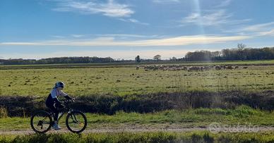 MTB per Bambini/e dai 120 ai 155 cm d'altezza