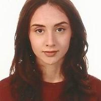 Ripetizioni Materie Scientifiche e Inglese (C1) -