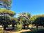 Immagine 18