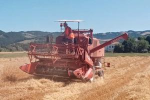 mietitrebbia Laverda m84