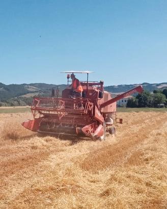 mietitrebbia Laverda m84