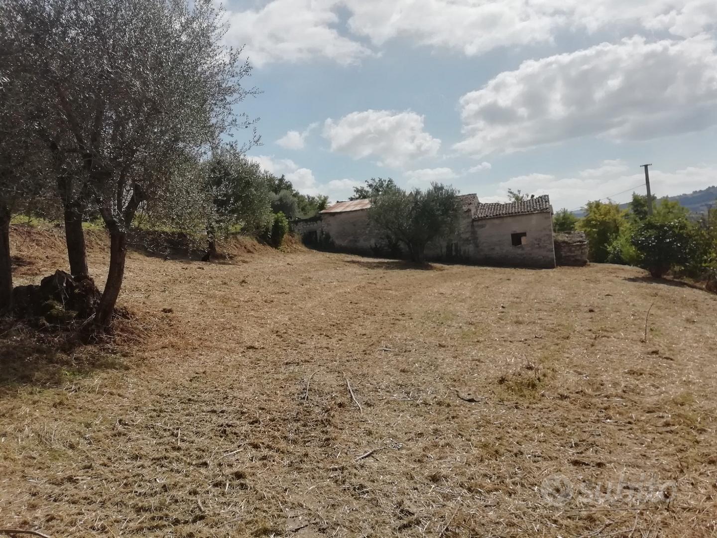Terreno e rustici - Vista 3
