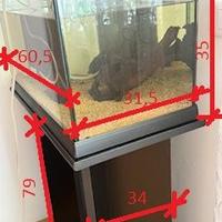 Acquario
