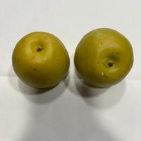 MELE VERDI decorative