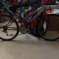 Bicicletta MTB