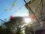 Immagine 12