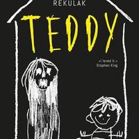 Teddy edizione speciale thriller romanzo