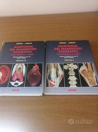 testo universitario  Anatomia mammiferi domestici 