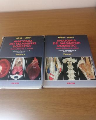 testo universitario  Anatomia mammiferi domestici 