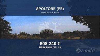 Immobile in asta di 24382 m² a Spoltore