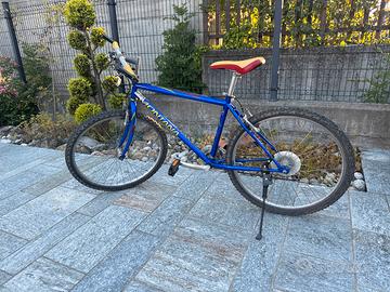 Bici rampichino ragazzo