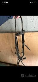 Testiera briglia  equitazione