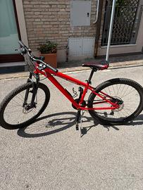 BICICLETTA  MOUNTAN BIKE 10/14 ANNI