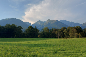 Scout - Terreno per Uscite Campo / Campi Scout