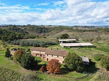 Rustico / Casale di 1075 m² con più di 5 locali e 