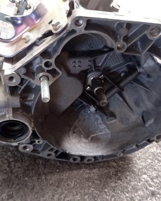 CAMBIO FIAT PANDA 312 1.2 BENZINA ANNO 2014