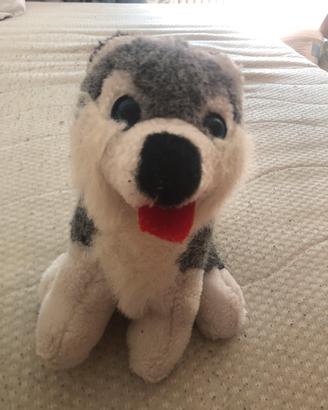 Peluche