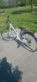 bicicletta donna