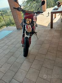 Fantic motor xmf 125