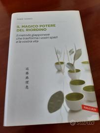 IL MAGICO POTERE DEL RIORDINO