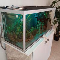 Acquario litraggoo 240L