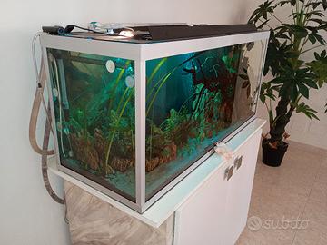 Acquario litraggoo 240L