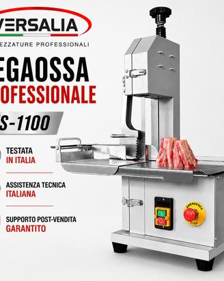 SEGAOSSA PROFESSIONALE 1100W - 220V