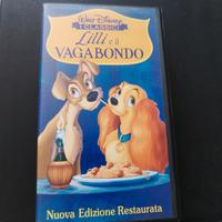 DVD Lilli e il vagabondo