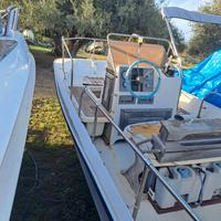 Boston Whaler  5 mt