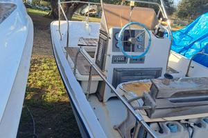 Boston Whaler  5 mt