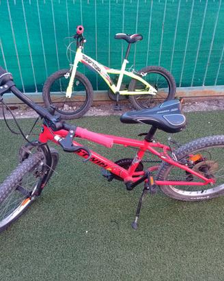 Bici bimbo 22/24