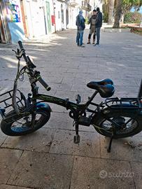Bici elettrica 