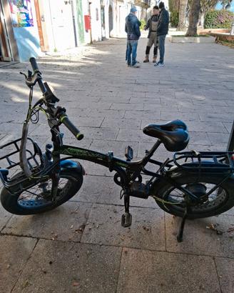 Bici elettrica 