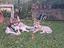 Immagine 4